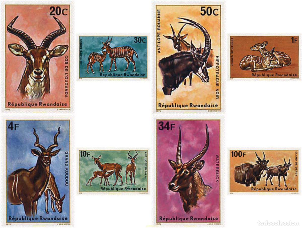 Sellos: 56506 MNH RUANDA 1975 ANTILOPES