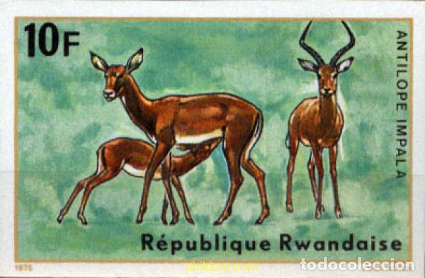Sellos: 222011 MNH RUANDA 1975 ANTILOPES