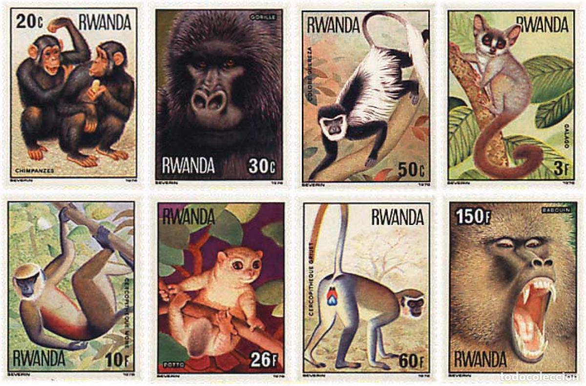 Sellos: 56531 MNH RUANDA 1978 MONOS