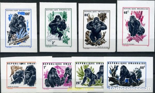 Sellos: 221445 MNH RUANDA 1970 GORILAS