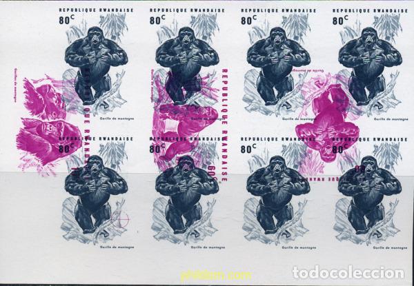 Sellos: 221448 MNH RUANDA 1970 GORILAS