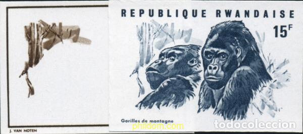 Sellos: 221492 MNH RUANDA 1970 GORILAS