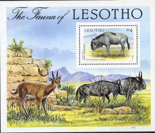 Sellos: 76285 MNH LESOTHO 1987 FAUNA