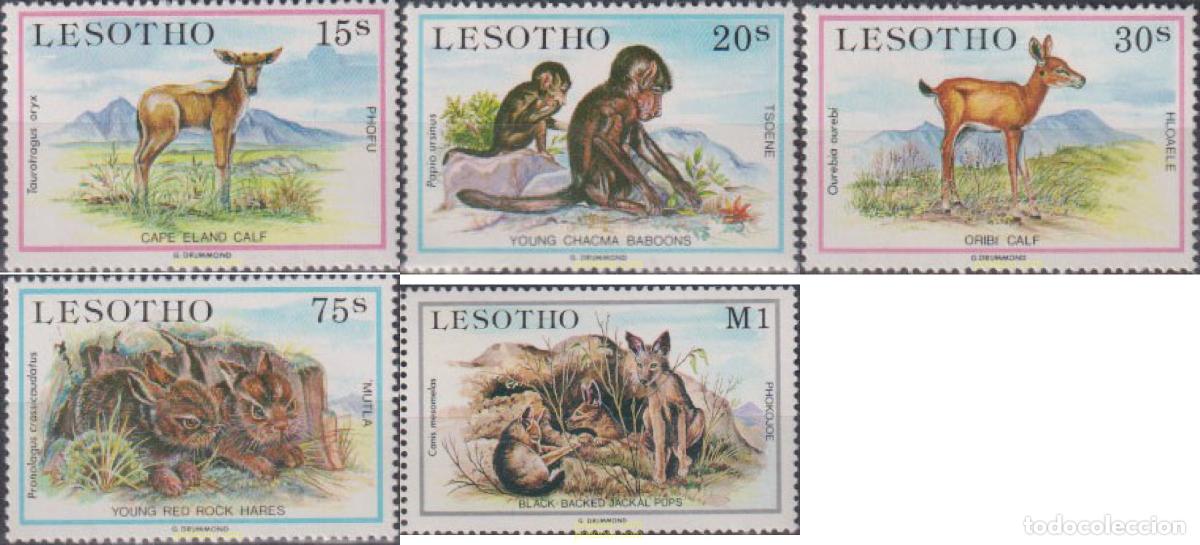 Sellos: 28720 MNH LESOTHO 1984 MAMIFEROS