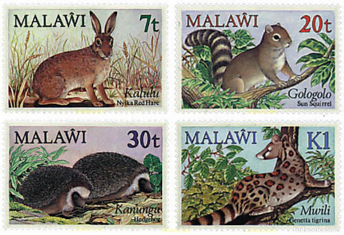 Sellos: 76347 MNH MALAWI 1984 MAMIFEROS