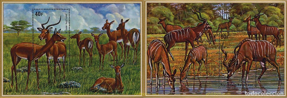 Sellos: 56593 MNH RUANDA 1975 ANTILOPES