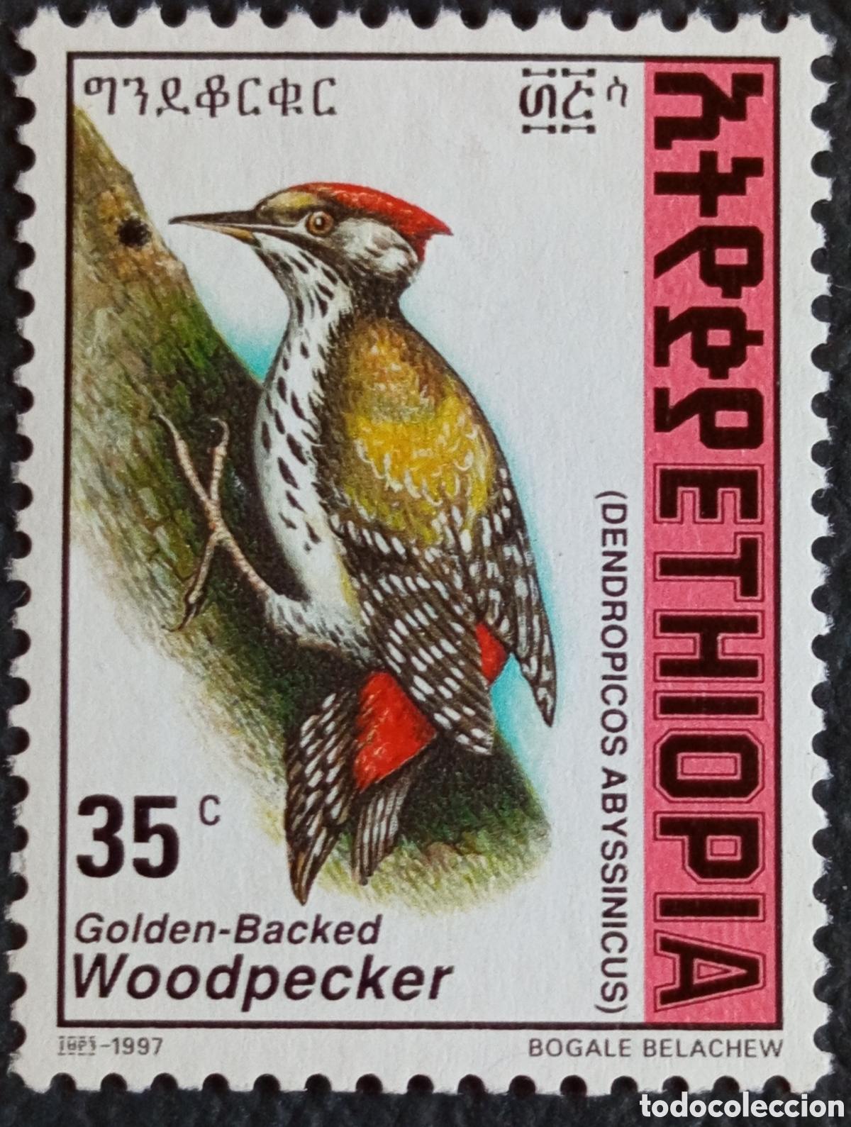 Sellos: Sello Etiop&iacute;a 1997 Aves - P&aacute;jaro Carpintero (Dendropicos abyssinicus) 35c Yvert 1391 MH.