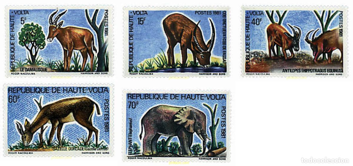 Sellos: 211310 MNH ALTO VOLTA 1981 FAUNA SALVAJE