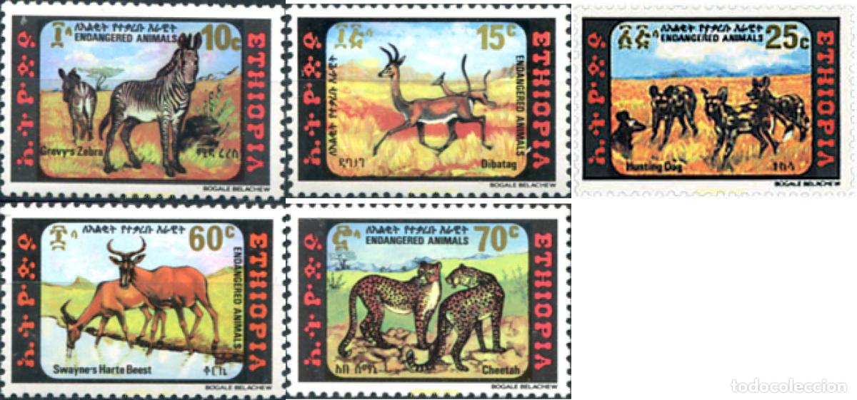 Sellos: 30271 MNH ETIOPIA 1980 FAUNA SALVAJE