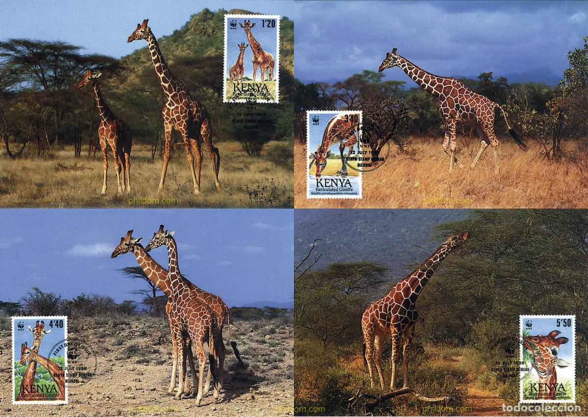 Sellos: 7349 MNH KENIA 1989 JIRAFA RETICULADA