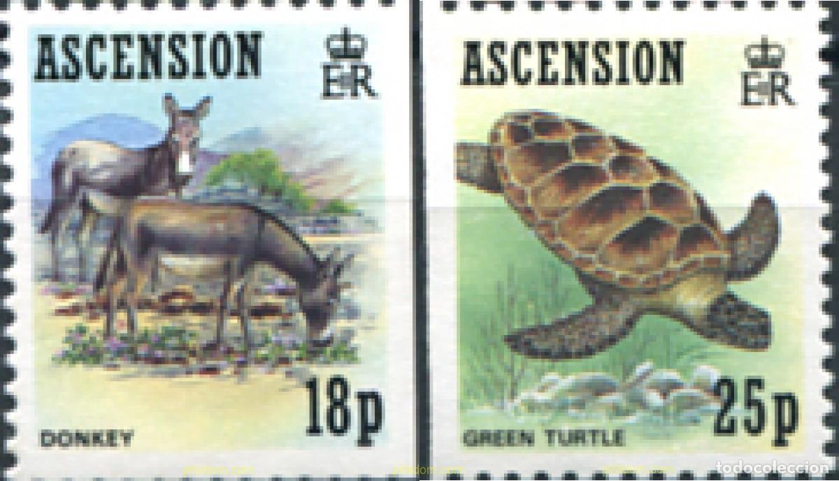 Sellos: 72674 MNH ASCENSION 1989 FAUNA
