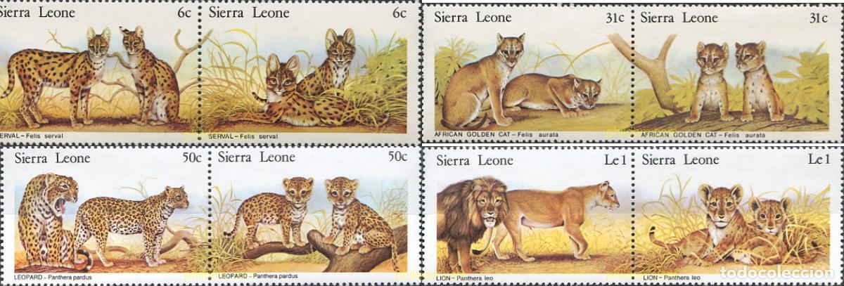 Sellos: 231953 MNH SIERRA LEONA 1981 FELINOS Y SUS CRIAS.