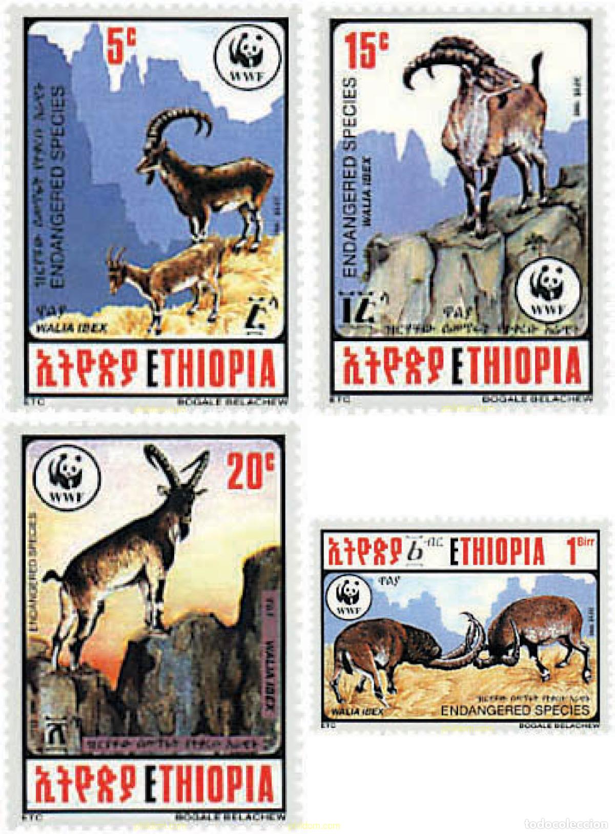 Sellos: 74949 MNH ETIOPIA 1990 IBICE DE ETIOPIA