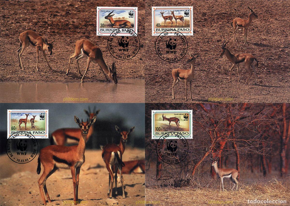 Sellos: 7378 MNH BURKINA FASO 1993 GACELA DE FRENTE ROJA
