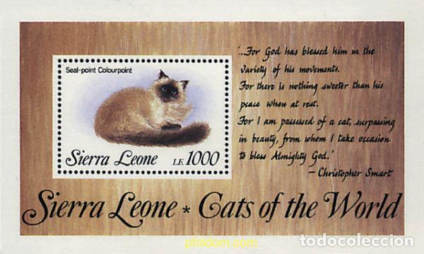 Francobolli: 362179 MNH SIERRA LEONA 1993 GATOS DEL MUNDO