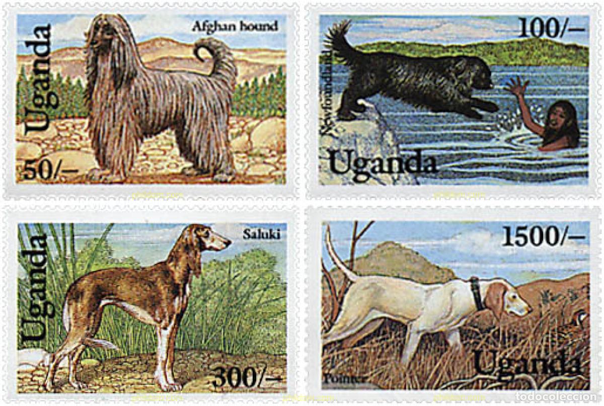 Sellos: 296824 MNH UGANDA 1993 PERROS DE RAZA