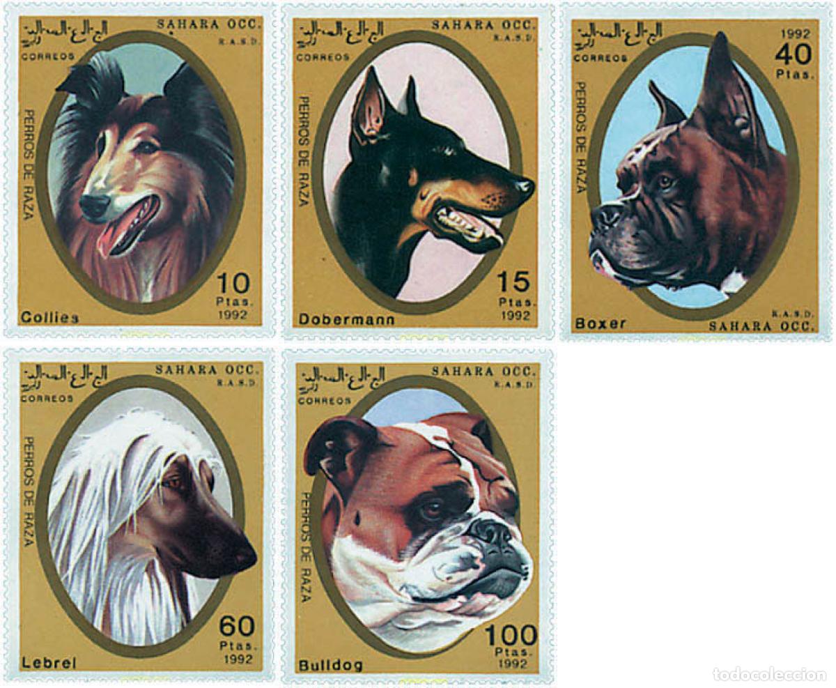 Sellos: 47695 MNH REPUBLICA ARABE SAHAURI DEMOCRATICA 1992 PERROS DE RAZA