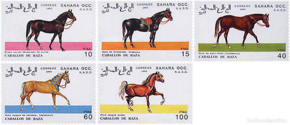 Sellos: 35681 MNH REPUBLICA ARABE SAHAURI DEMOCRATICA 1993 CABALLOS