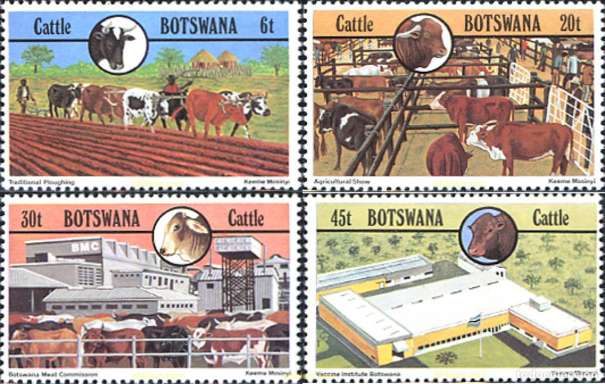 Sellos: 72753 MNH BOTSWANA 1981 GANADO
