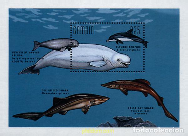 Sellos: 89124 MNH GAMBIA 1995 BALLENAS Y DELFINES