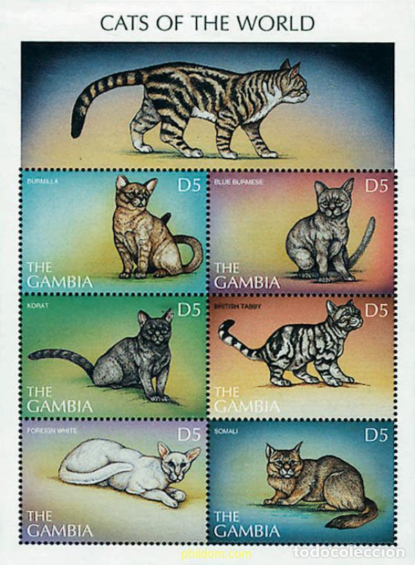 Sellos: 260743 MNH GAMBIA 1997 GATOS DEL MUNDO