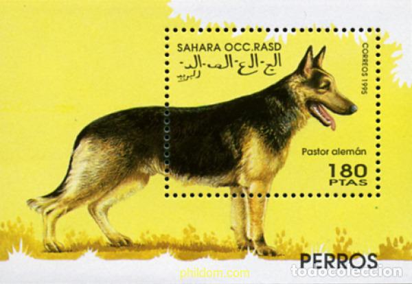 Sellos: 239316 MNH REPUBLICA ARABE SAHAURI DEMOCRATICA 1995 PERROS