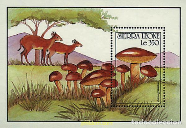 Sellos: 362143 MNH SIERRA LEONA 1990 SETAS
