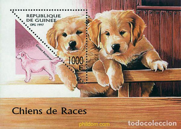 Sellos: 74378 MNH GUINEA 1997 PERROS DE RAZA