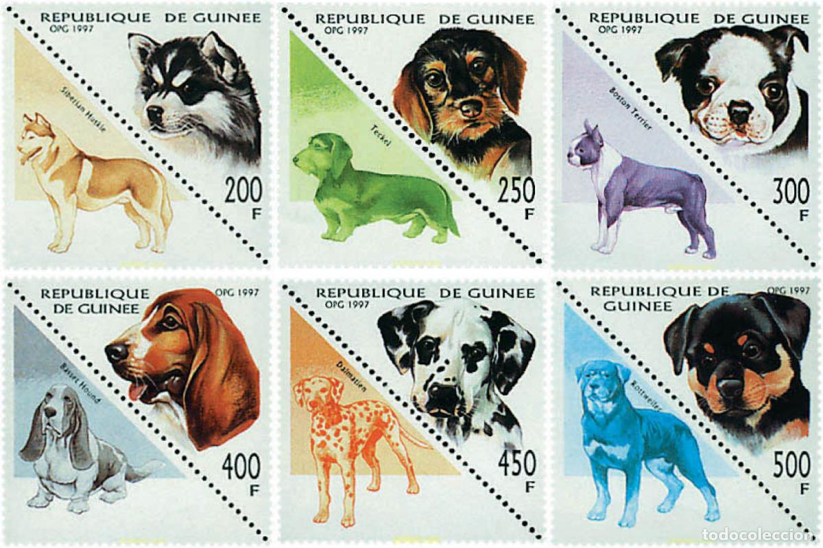 Sellos: 74377 MNH GUINEA 1997 PERROS DE RAZA