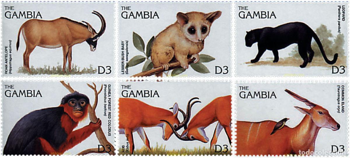 Sellos: 317001 MNH GAMBIA 1996 FAUNA SALVAJE