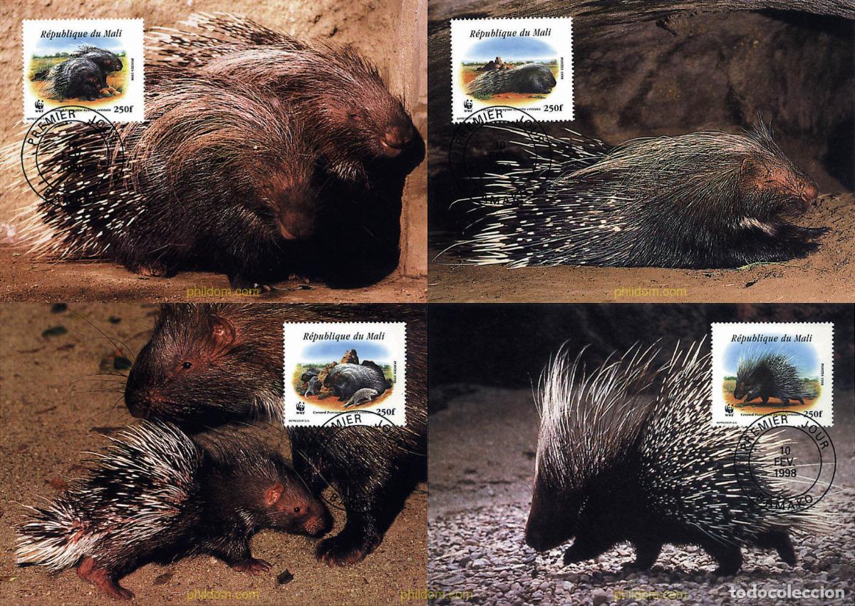 Sellos: 7459 MNH MALI 1998 PUERCOESPIN