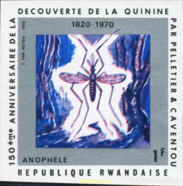 Sellos: 221497 MNH RUANDA 1970 150 ANIVERSARIO DEL DESCUBRIMIENTO DE LA QUININA