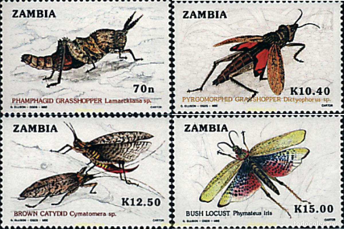 Sellos: 34267 MNH ZAMBIA 1989 INSECTOS