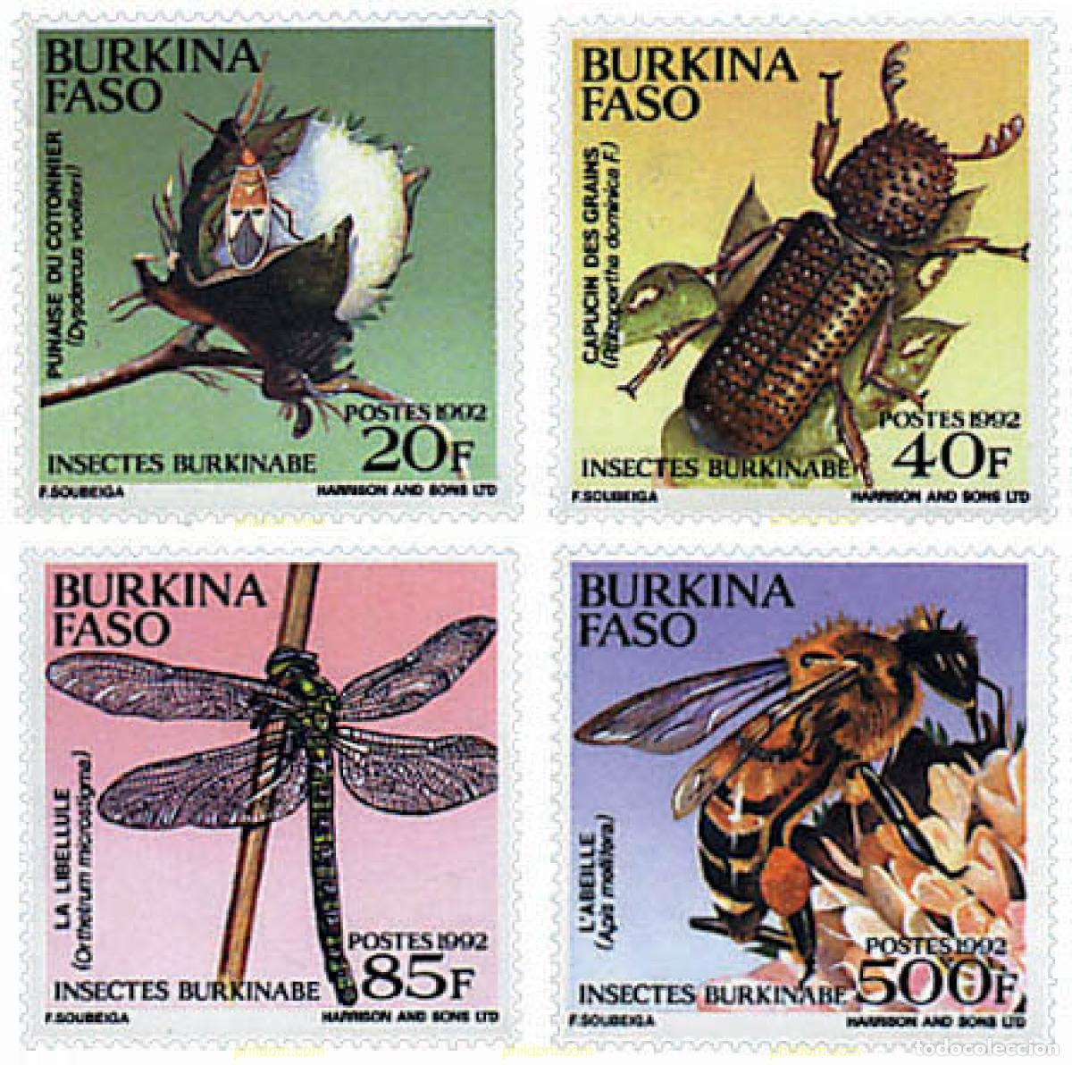 Sellos: 29384 MNH BURKINA FASO 1992 INSECTOS