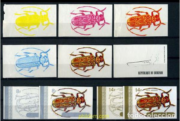 Sellos: 204304 MNH BURUNDI 1970 COLEOPTEROS