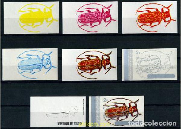 Sellos: 204315 MNH BURUNDI 1970 COLEOPTEROS