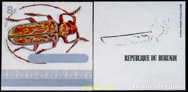 Sellos: 273099 MNH BURUNDI 1970 COLEOPTEROS