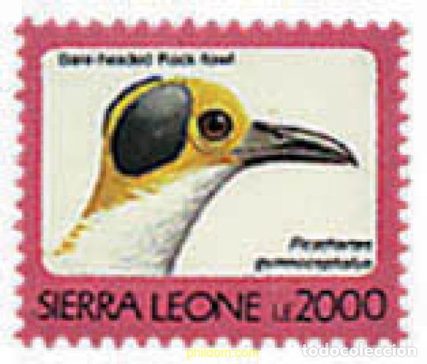 Sellos: 362152 MNH SIERRA LEONA 1992 AVES