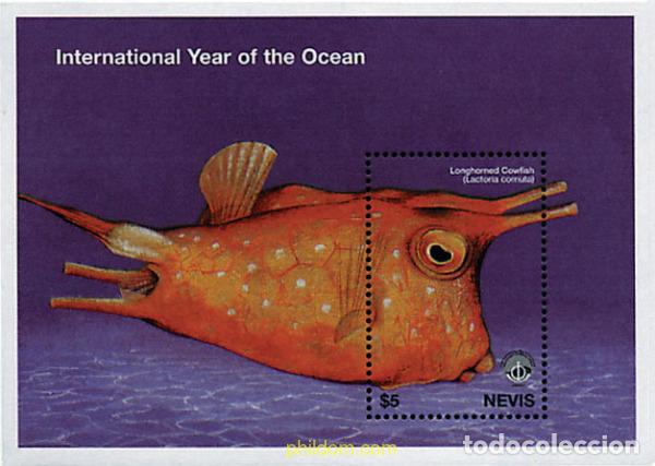 Sellos: 347551 MNH NEVIS 1998 A&Ntilde;O INTERNACIONAL DE LOS OCEANOS