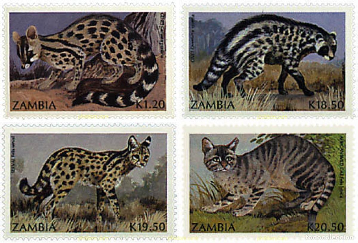 Sellos: 37108 MNH ZAMBIA 1991 PEQUE&Ntilde;OS CARNIVOROS
