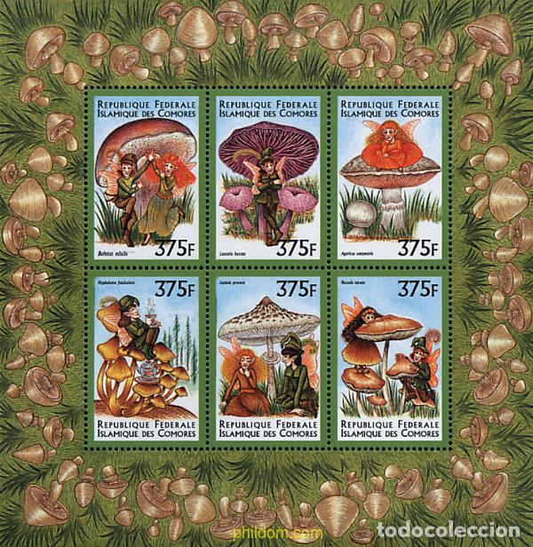 Sellos: 607672 MNH COMORES 1999 SETAS