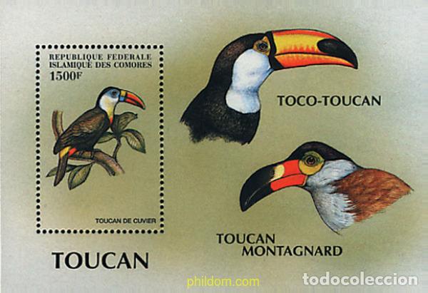 Sellos: 607670 MNH COMORES 1999 PAJAROS DEL MUNDO