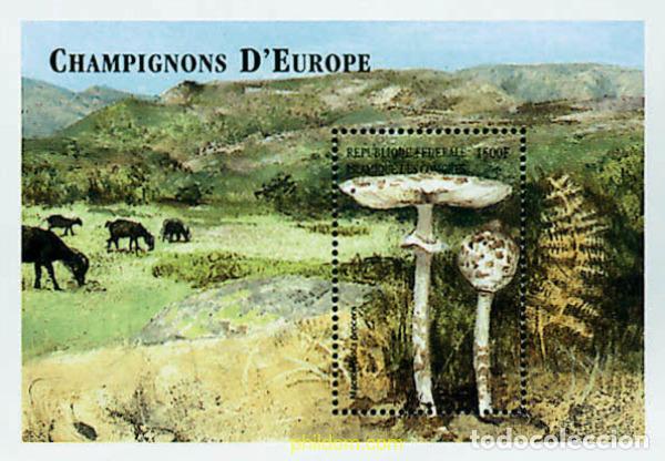 Sellos: 607667 MNH COMORES 1999 SETAS