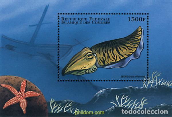 Sellos: 607666 MNH COMORES 1998 FAUNA MARINA DEL MUNDO