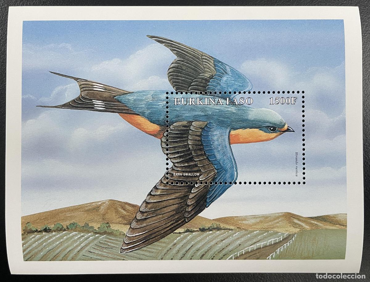 Sellos: Burkina Faso 1998 YT Bl. 74 golondrina com&uacute;n p&aacute;jaro fauna silvestre