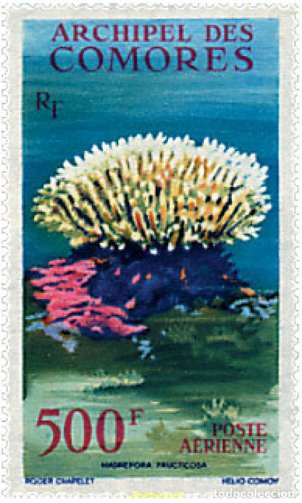 Sellos: 73007 MNH COMORES 1962 CORALES