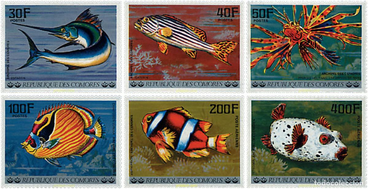 Stamps: 73042 MNH COMORES 1977 PECES DEL OCEANO INDICO