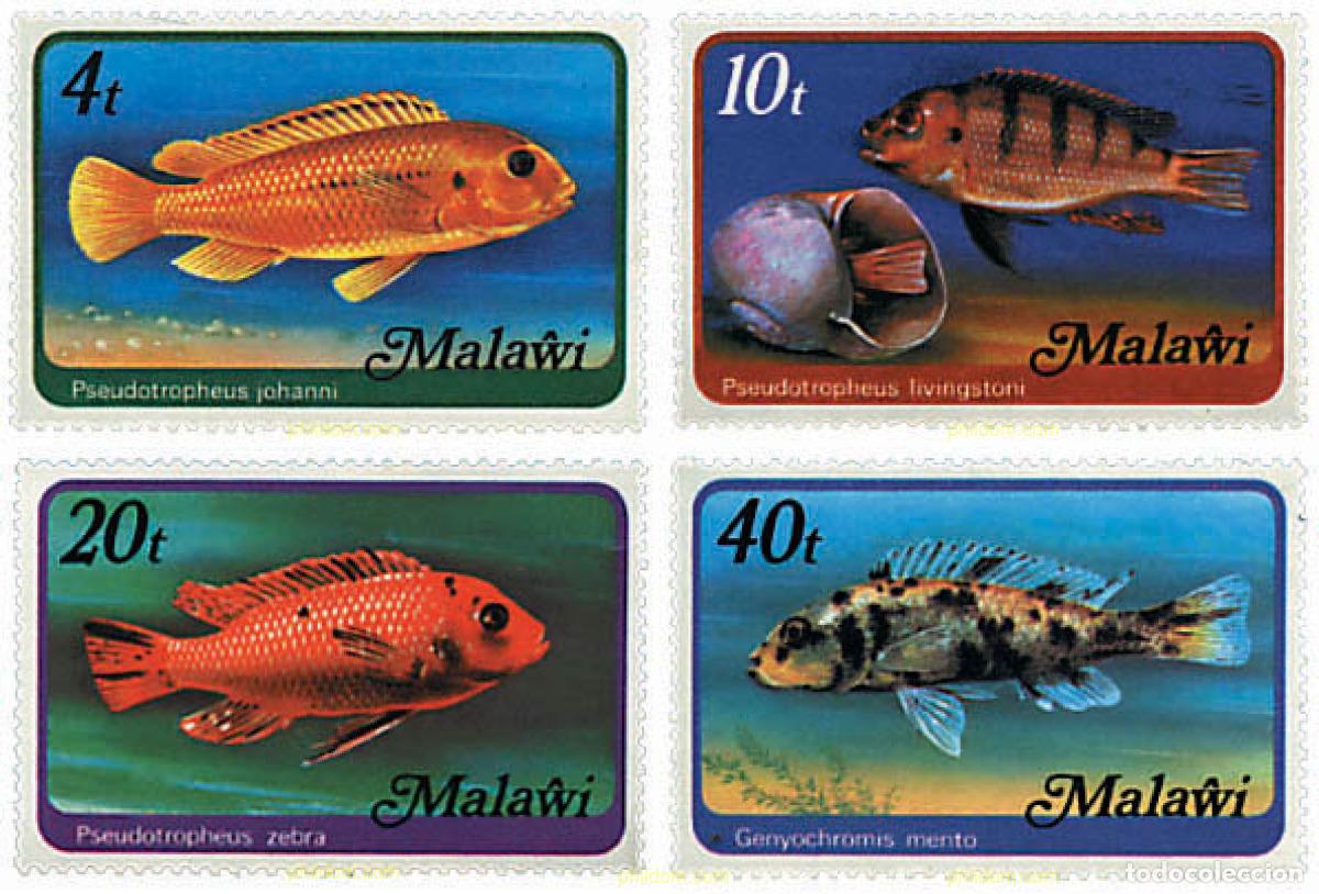 Sellos: 36422 MNH MALAWI 1977 PECES DE MALAWI