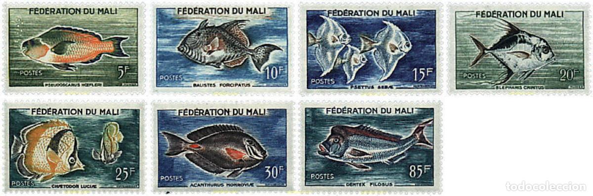 Sellos: 28417 MNH MALI 1960 PECES
