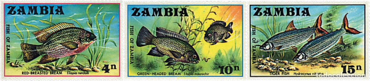 Sellos: 34237 MNH ZAMBIA 1971 PECES
